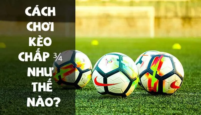 Kèo 3/4 là gì? Tìm hiểu cách chơi kèo ¾ hiệu quả nhất 3 Ý nghĩa khác của kèo ¾ là gì?